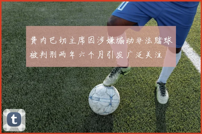 费内巴切主席因涉嫌煽动非法赌球被判刑两年六个月引发广泛关注