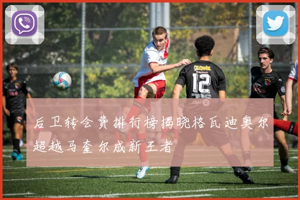 后卫转会费排行榜揭晓格瓦迪奥尔超越马奎尔成新王者